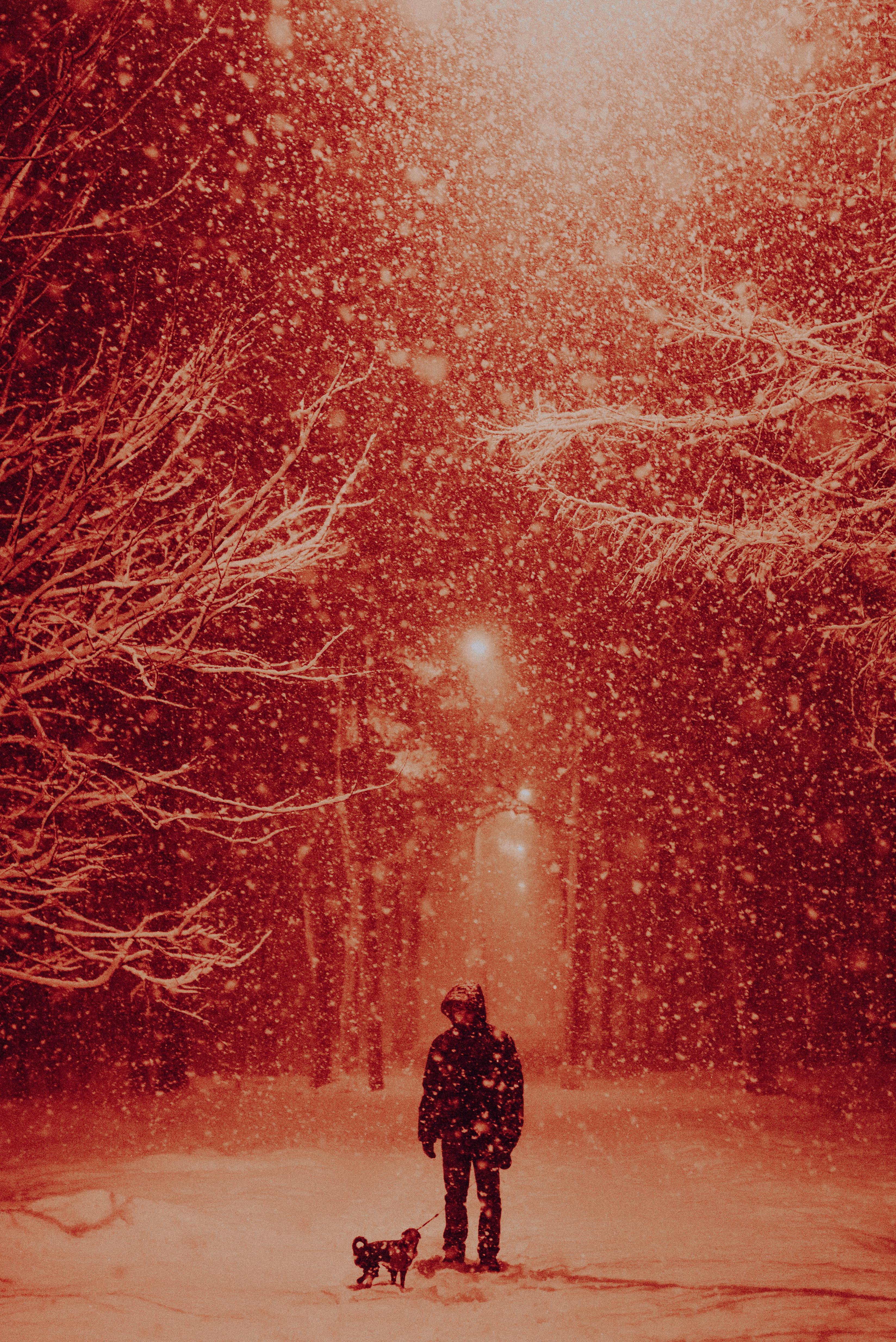A person and their dog walking through a snowy winter night under a streetlamp's warm light.