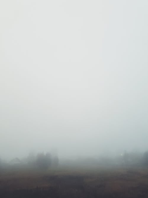 Photo of a Foggy Weather