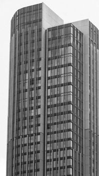 Stunning black and white image of a modern high-rise building exemplifying urban architecture.