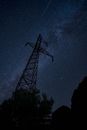Silhouette of Trees Under Starry Night