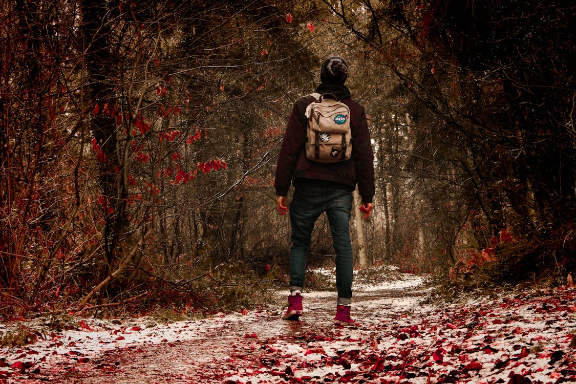 Free Person Wearing Black Jacket in the Middle of Forest Stock Photo