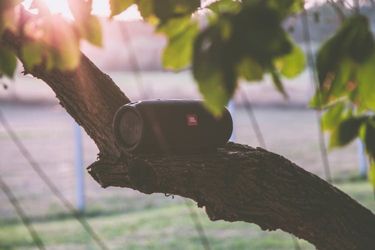 Black Jbl Bluetooth Speaker On Tree Branch