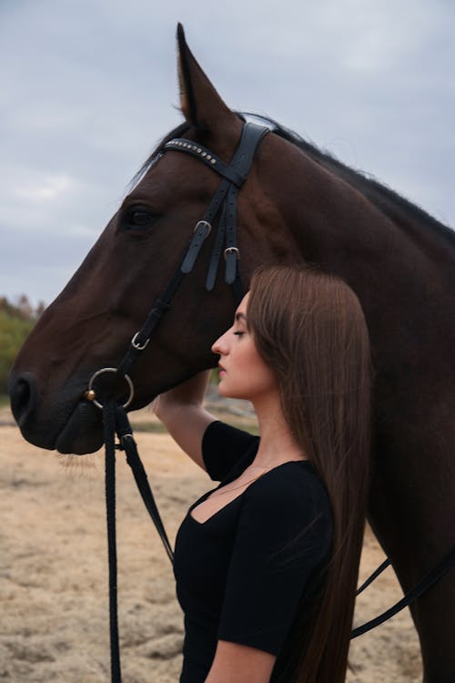 Foto profissional grátis de amante dos animais, cabelo castanho, cavalo castanho