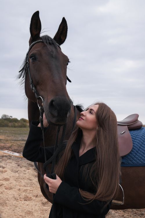 Free A woman lovingly gazes at a brown horse in an outdoor setting, showcasing a bond with nature. Stock Photo