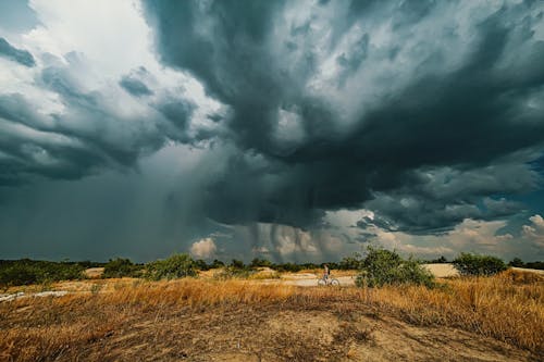 Immagine gratuita di cespugli, cielo, cielo coperto