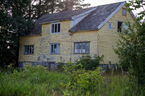 Yellow Wooden House Near Green Trees