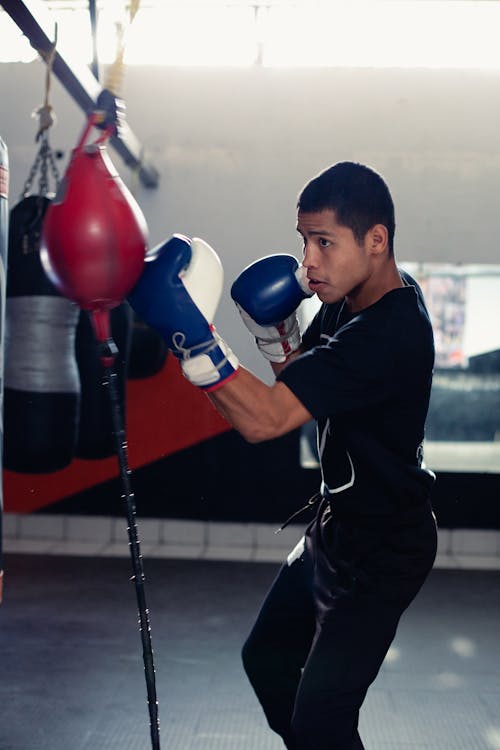 Photo of a Man in a Black Shirt Training for Boxing · Free Stock Photo