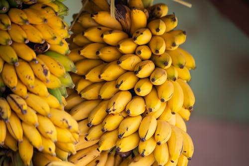 Gratis arkivbilde med bananer, bunt, frisk