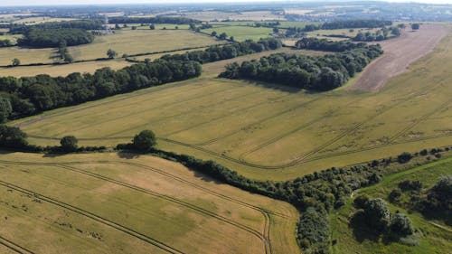 Aerial View of Green Fields