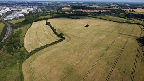 Aerial View of Green Fields
