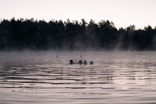 Silhouettes swim through misty waters with tree-lined backdrop, creating a tranquil and mysterious atmosphere.