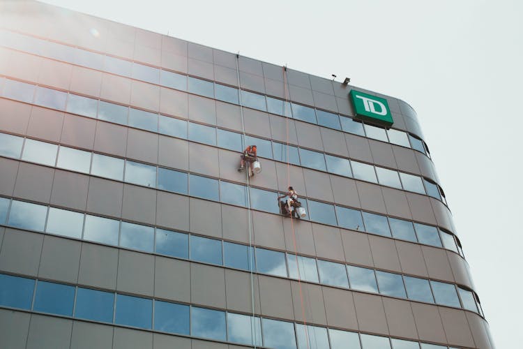 Cleaners Cleaning Building Glass Panels 