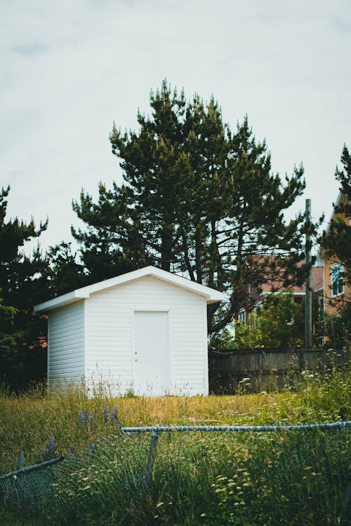 Gratis stockfoto met bomen, gras, houten huis