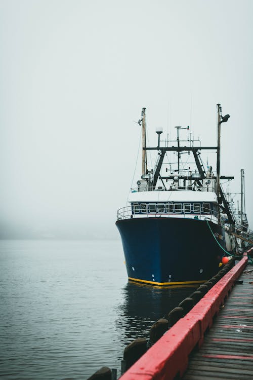 Massive Ship docked in a Pier 