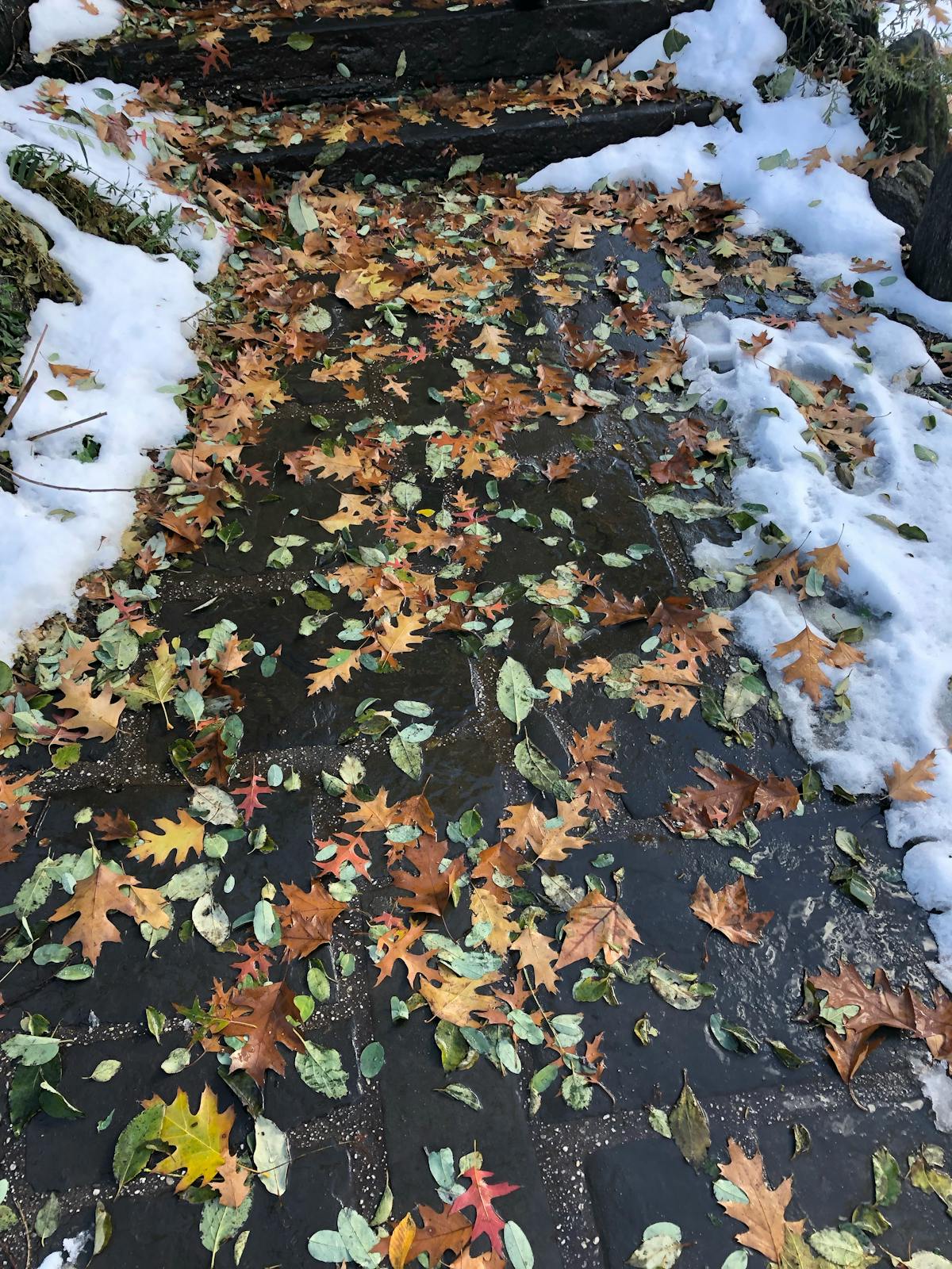 Nutrition pour Taekwondo Olympique