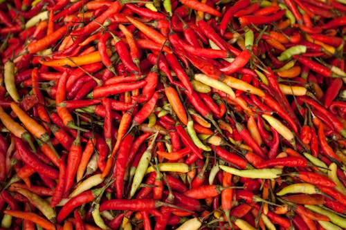 Close-Up Shot of Chili Peppers