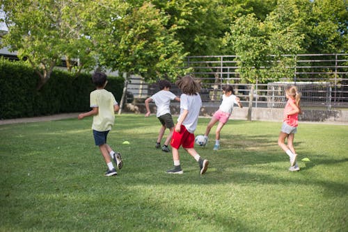 Free Girls and Boys Playing Football on the Field Stock Photo