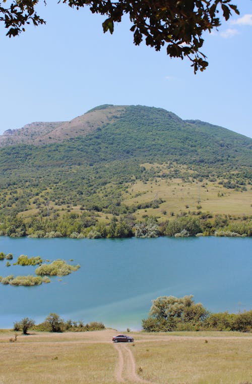 Mountain with Trees Near a Grass Field and River