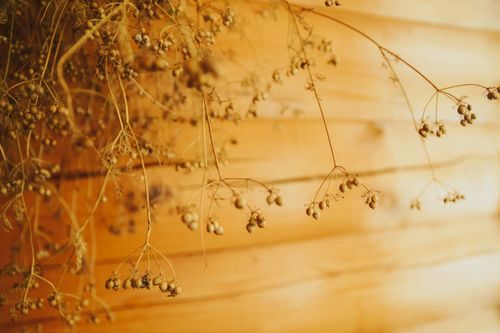 Free Aesthetic close-up of dried flowers hanging on a wooden wall, featuring warm tones. Stock Photo