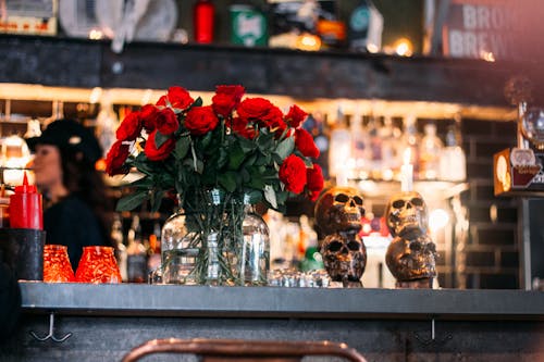 Free stock photo of roses, skull