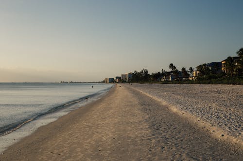 無料 海岸の横にある茶色の砂 写真素材