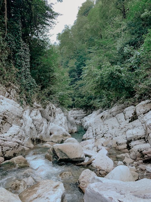 Rocks in the River