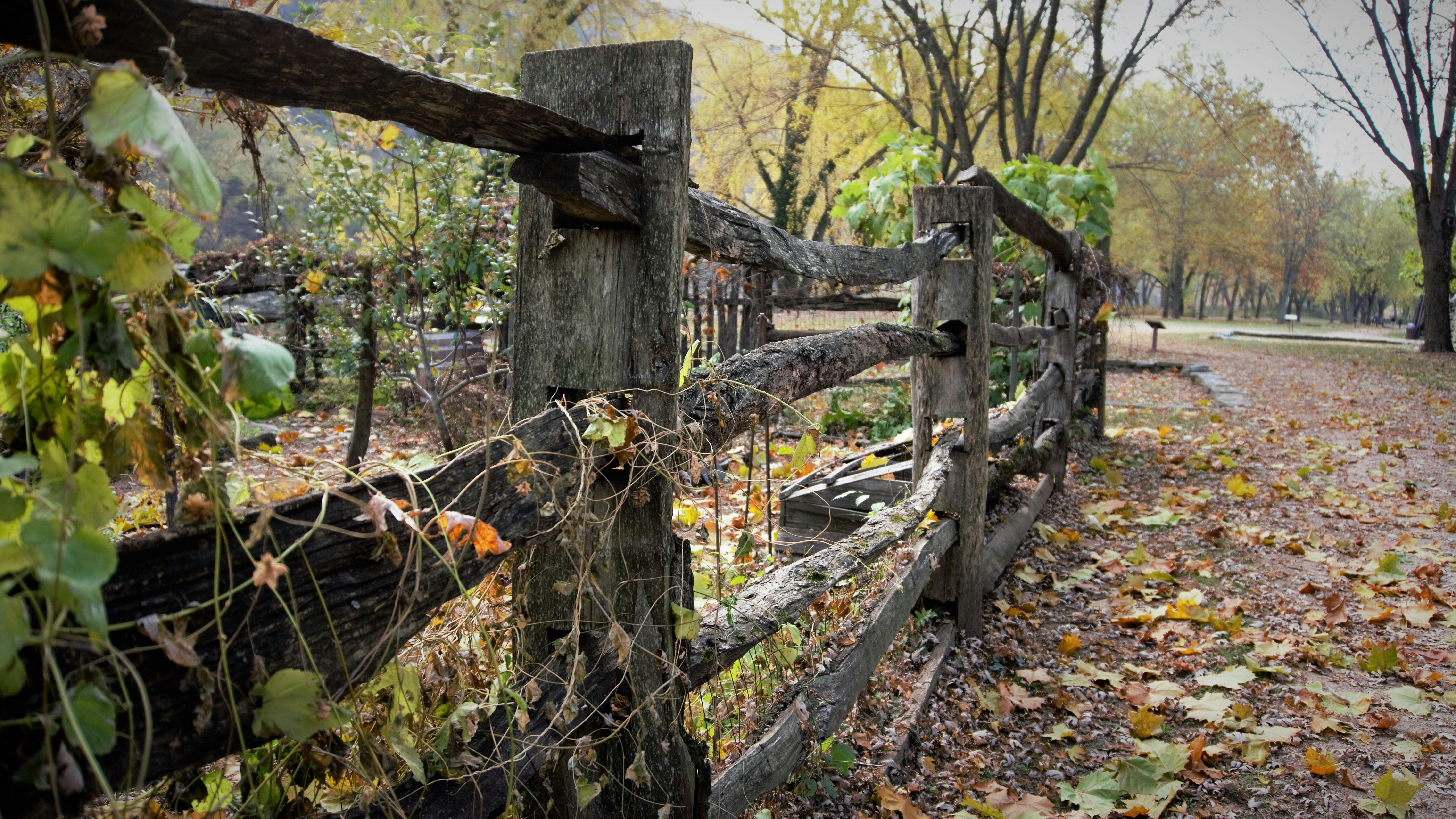 Free stock photo of fences, wood fence