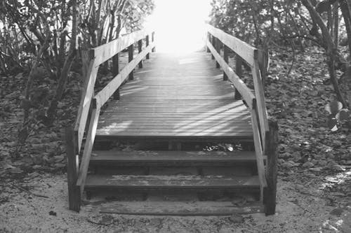 Photographie En Niveaux De Gris Des Escaliers En Bois