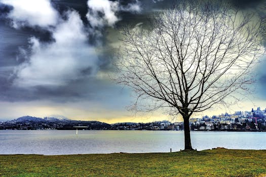 A tranquil landscape featuring a leafless tree by a lakeside under a cloudy sky, overlooking a distant town.