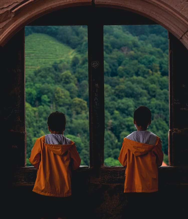 Back View Of Kids On A Window