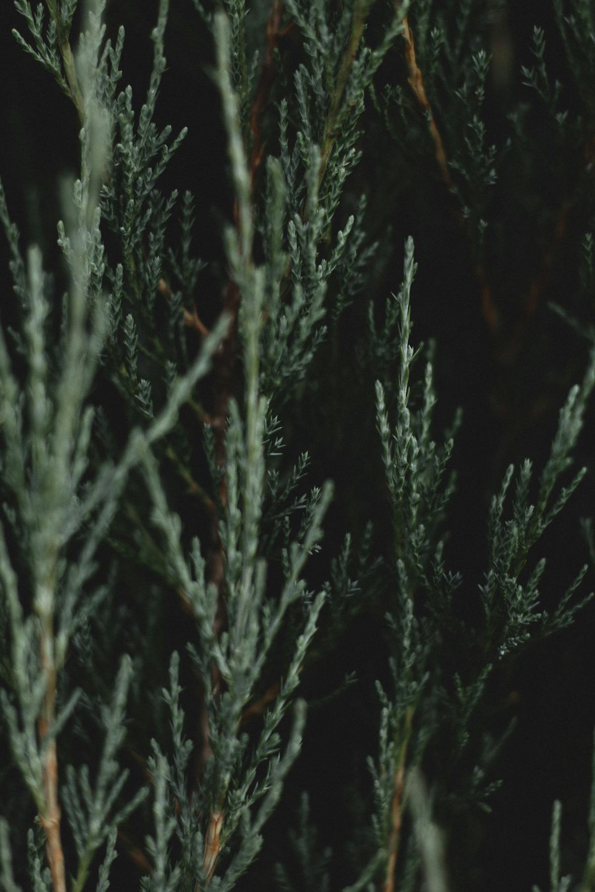 Analytics dashboard showing views, watch time, and engagement metrics on a smartphone