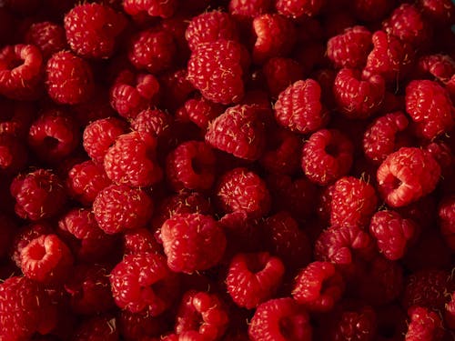 Red Raspberries 