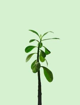 A vivid young plant sprouting against a soft pastel background, symbolizing growth and renewal.