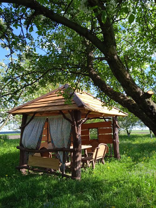 Free Charming rustic wooden gazebo in a verdant park setting under a large tree. Stock Photo