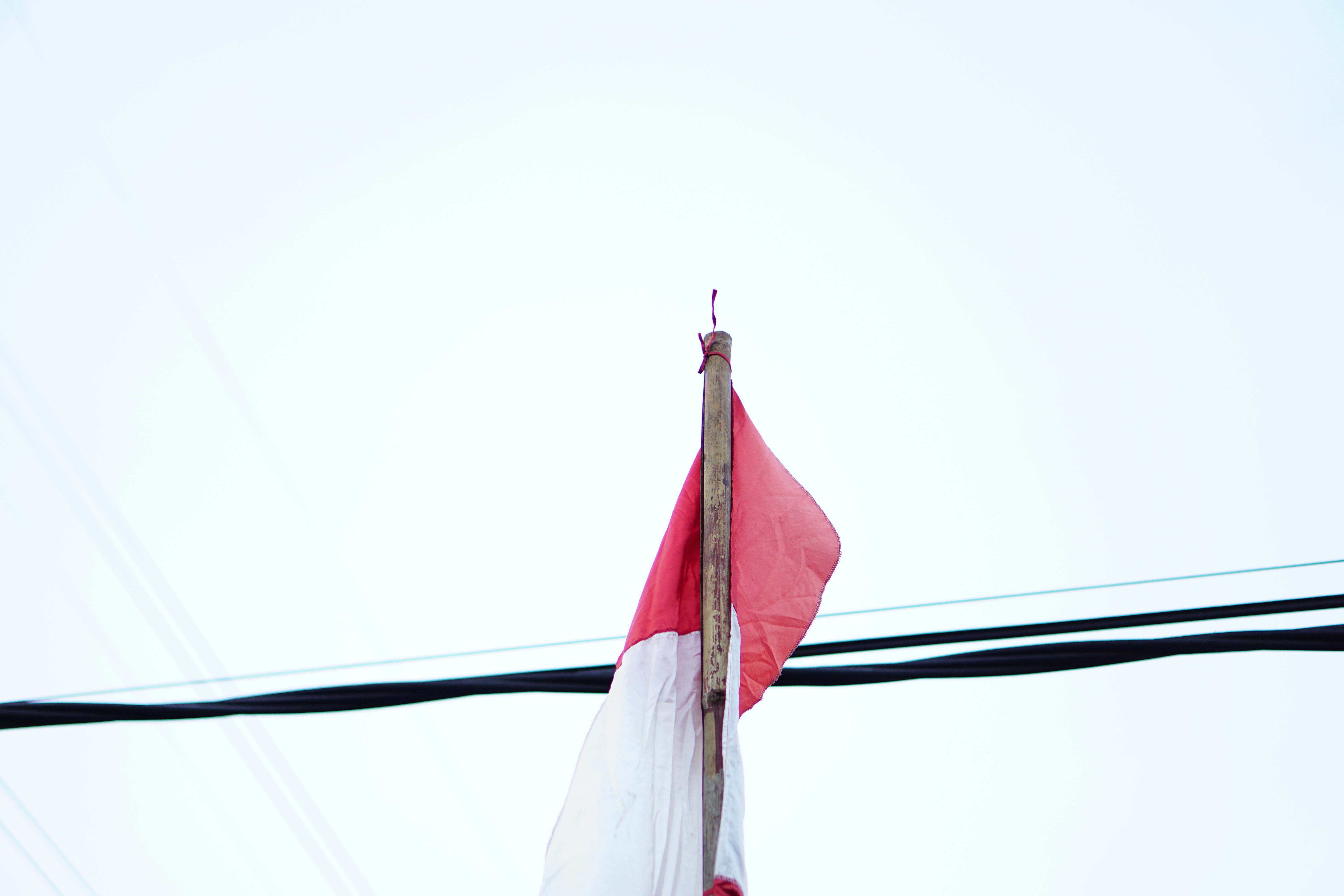 Free stock photo of culture, indonesia, indonesian flag