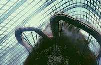 在新加坡标志性的云雾森林温室中，探索薄雾缭绕的人行道和郁郁葱葱的绿化植物