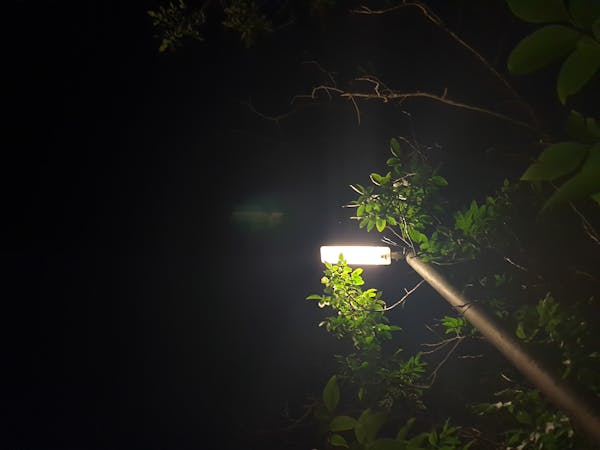 Poissons Frais du Jour