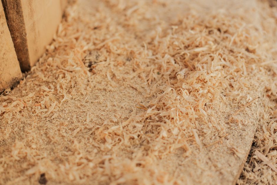 Detailed close-up of fine sawdust spread across a wooden surface.
