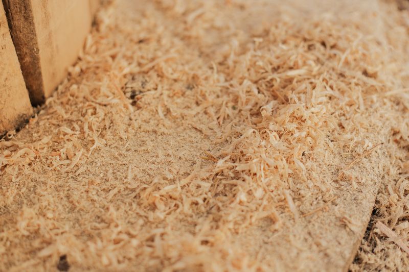 Fine sawdust on freshly machined timber