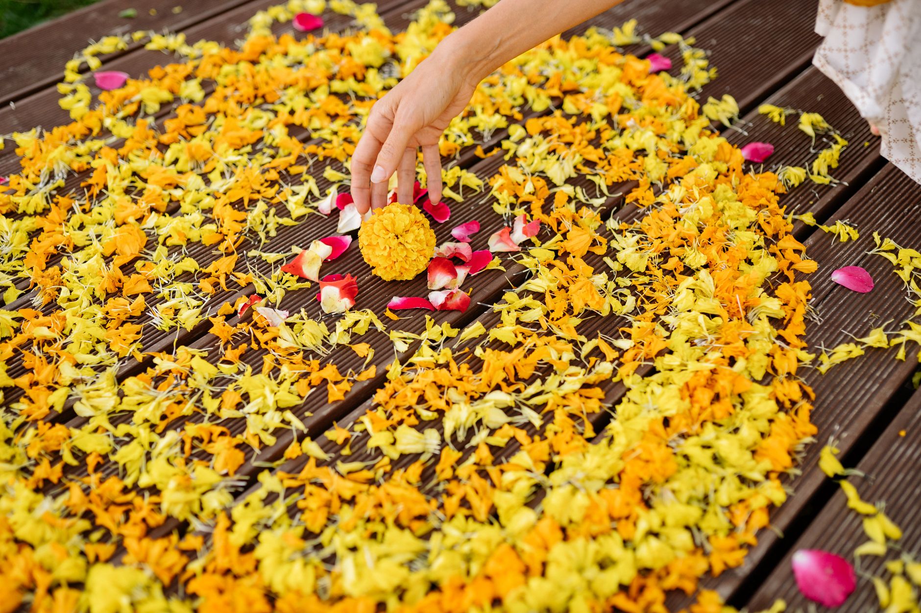 Featured image for the article: Delhi groups ask Onam households to give Pookalam flowers a second life