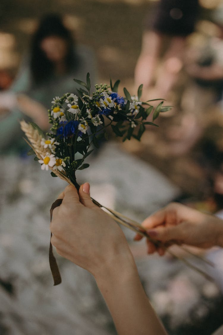 Woman Hand Picking Wreath Of Blooming Meadow Flowers