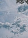 White Clouds on a Sky