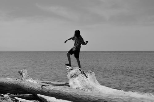 Free Black and white image of a person standing on driftwood by the Russian seashore. Stock Photo