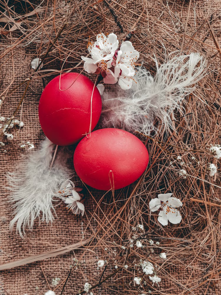 Red Eggs In A Nest