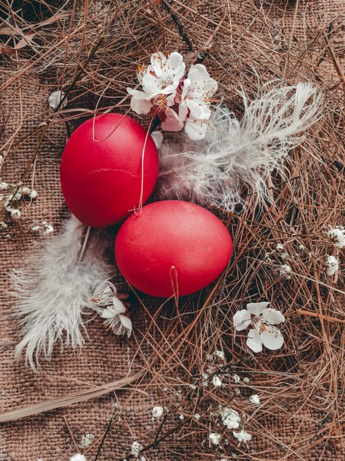 Free Close-up of vibrant red Easter eggs in a nest with flowers and feathers, perfect for spring celebrations. Stock Photo