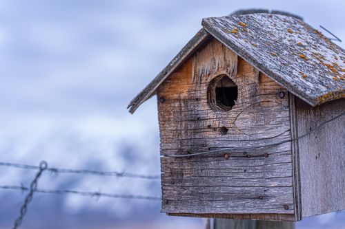 Free Close-up of a weathered birdhouse against a blurred snowy mountain background. Stock Photo