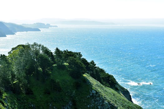 Stunning aerial view of cliffs and ocean along the San Francisco coast.