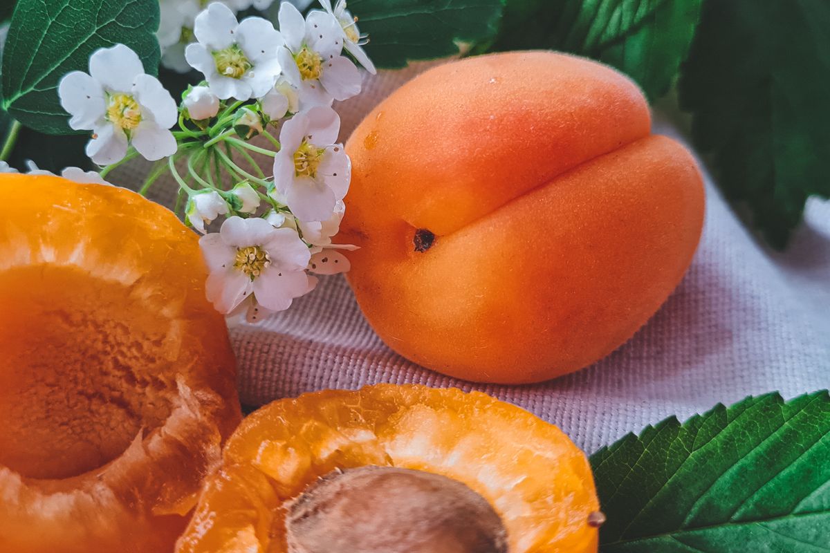 Abricot : bienfaits, saison et conservation - À quelle saison manger l’abricot ?