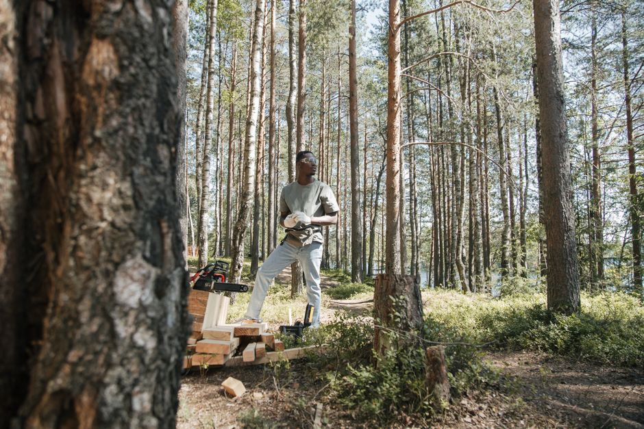 Cordless chainsaw clearing backyard tree branches Cordless chainsaw clearing backyard tree branches