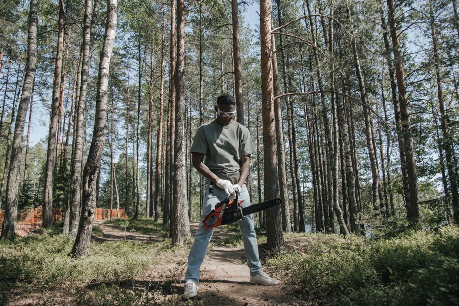 Worker operating a chainsaw to cut down a tree in a wooded area